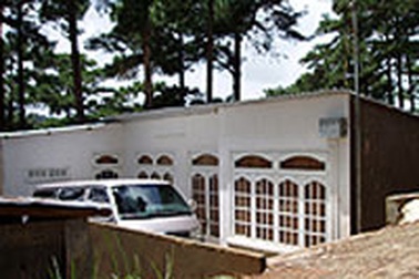 Lâm Đồng: Rừng cảnh quan cũng bị... phân lô