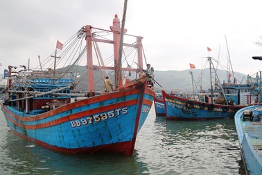 Xuất hiện các loại “cò” ở Cảng cá Quy Nhơn