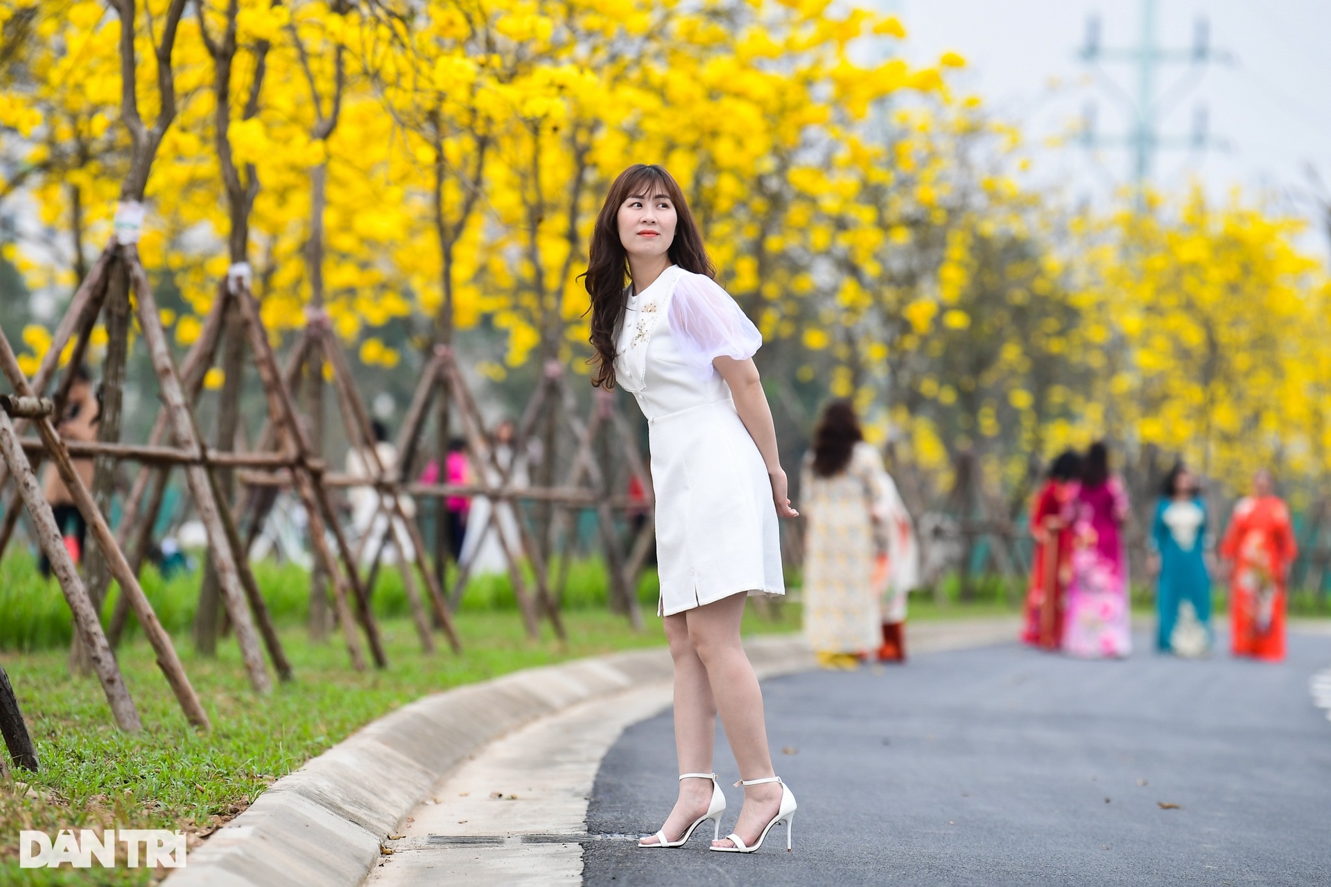 Cung đường hoa vàng nổi nhất Hà Nội thu hút đông người chụp ảnh, check-in - 6 Cung đường hoa vàng nổi nhất Hà Nội thu hút đông người chụp ảnh, check-in - 6