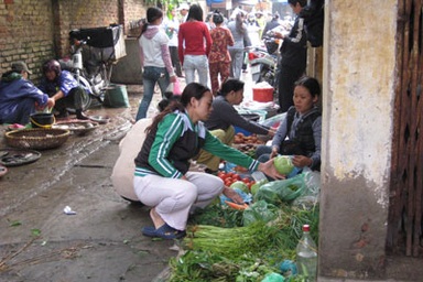 Hà Nội: Tích trữ lương thực đón bão