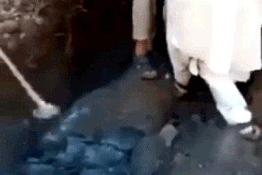 Bị bắt vì dùng búa đập phá pho tượng Phật có niên đại 1.700 năm tuổi