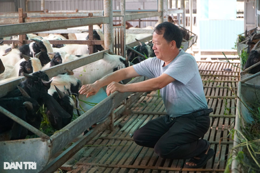 Cậu bé chăn vịt thành ông chủ trang trại thu hàng tỷ đồng mỗi năm