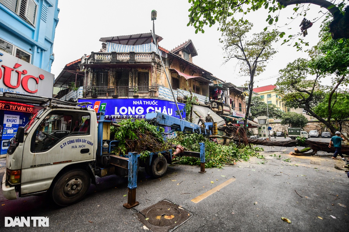 Mưa lớn trong đêm ở Hà Nội: Cây to bật gốc đè vào nhà dân trên phố cổ - 4 Mưa lớn trong đêm ở Hà Nội: Cây to bật gốc đè vào nhà dân trên phố cổ - 4