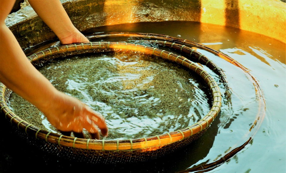 Quảng Nam: Mưu sinh ở làng nghề ...“đi thụt lùi” - 7 Quảng Nam: Mưu sinh ở làng nghề ...“đi thụt lùi” - 7