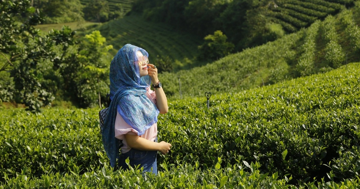 View - Xúc tiến, quảng bá du lịch "xứ chè" Thái Nguyên | Báo Dân trí