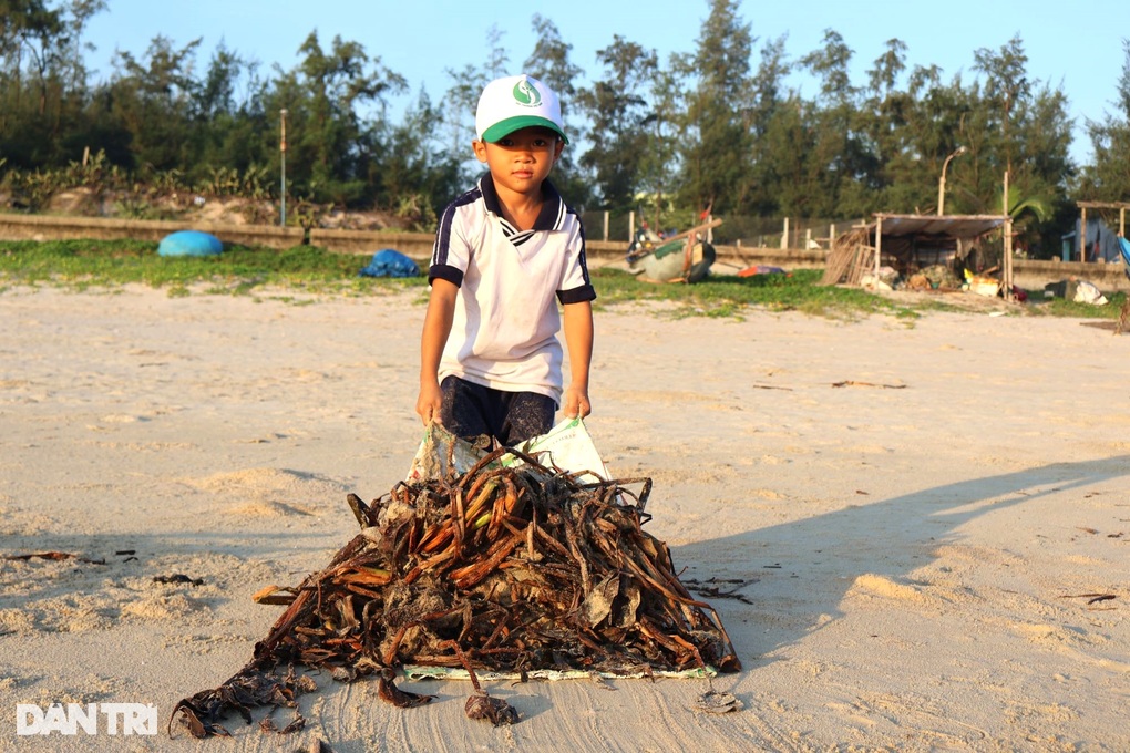 Việc làm lay động trái tim của biệt đội nhí - 3 Việc làm lay động trái tim của biệt đội nhí - 3