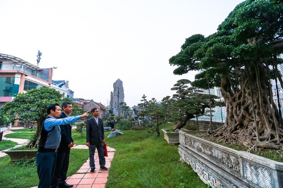 Lạc bước vào những khu vườn đắt giá như vàng ròng của các đại gia Việt - 4 Lạc bước vào những khu vườn đắt giá như vàng ròng của các đại gia Việt - 4