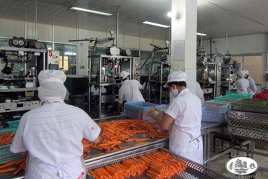 Những lưu ý khi chọn thực phẩm an toàn ngày Tết