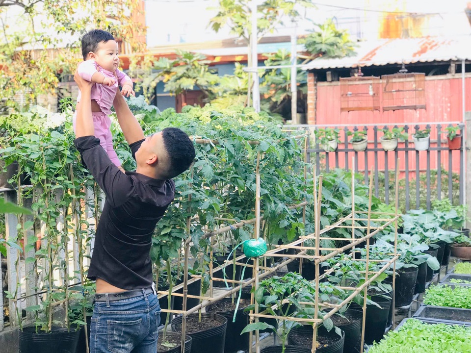 Vườn 60m2 đủ loại rau trái, vợ chồng trẻ ở Quảng Nam không phải đi chợ - 5 Vườn 60m2 đủ loại rau trái, vợ chồng trẻ ở Quảng Nam không phải đi chợ - 5