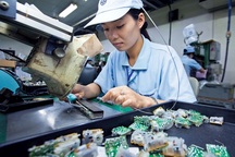 Hợp đồng mùa vụ 3 tháng có được đóng bảo hiểm xã hội?