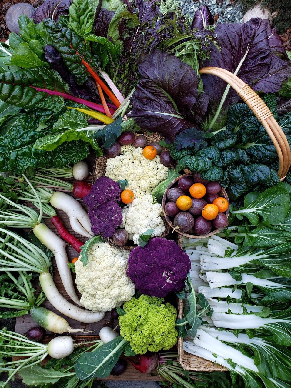 Cuộc sống bình yên trồng rau, nuôi gà đáng mơ ước của đôi vợ chồng trẻ - 3 Cuộc sống bình yên trồng rau, nuôi gà đáng mơ ước của đôi vợ chồng trẻ - 3