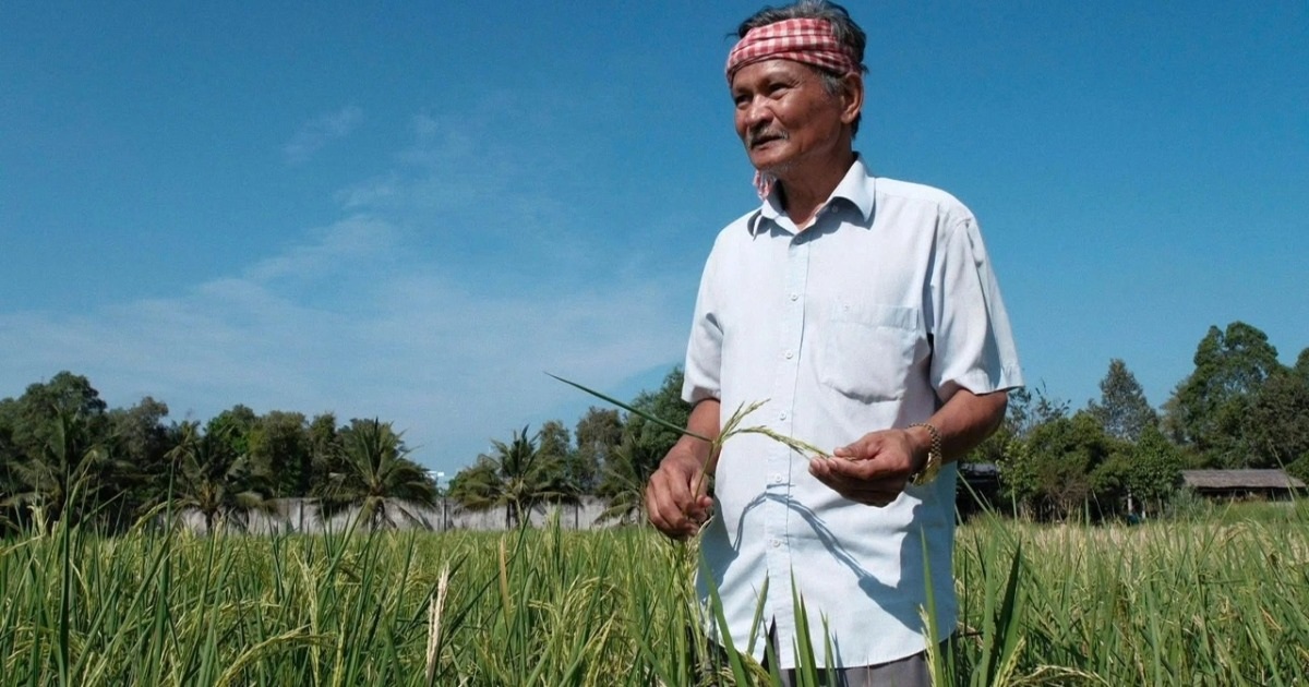 Sau gạo ngon nhất thế giới, Việt Nam sắp ra mắt gạo dược liệu ngừa bệnh tật