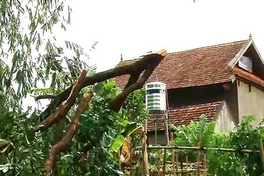 Không khí lạnh gây mưa diện rộng, đề phòng lốc xoáy và mưa đá