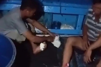 Ngư dân tố bị 3 tàu lạ tấn công tới tấp khi đánh bắt cá trên biển