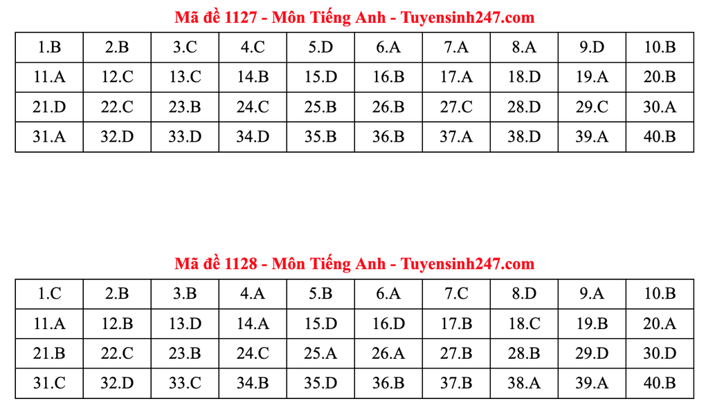 Gợi ý đáp án tiếng Anh thi tốt nghiệp 2025: Mã đề từ 1117 đến 1132 - 3 Gợi ý đáp án tiếng Anh thi tốt nghiệp 2025: Mã đề từ 1117 đến 1132 - 3