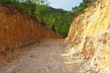 Lâm trường "ngó lơ" để doanh nghiệp khai thác tài nguyên trái phép?