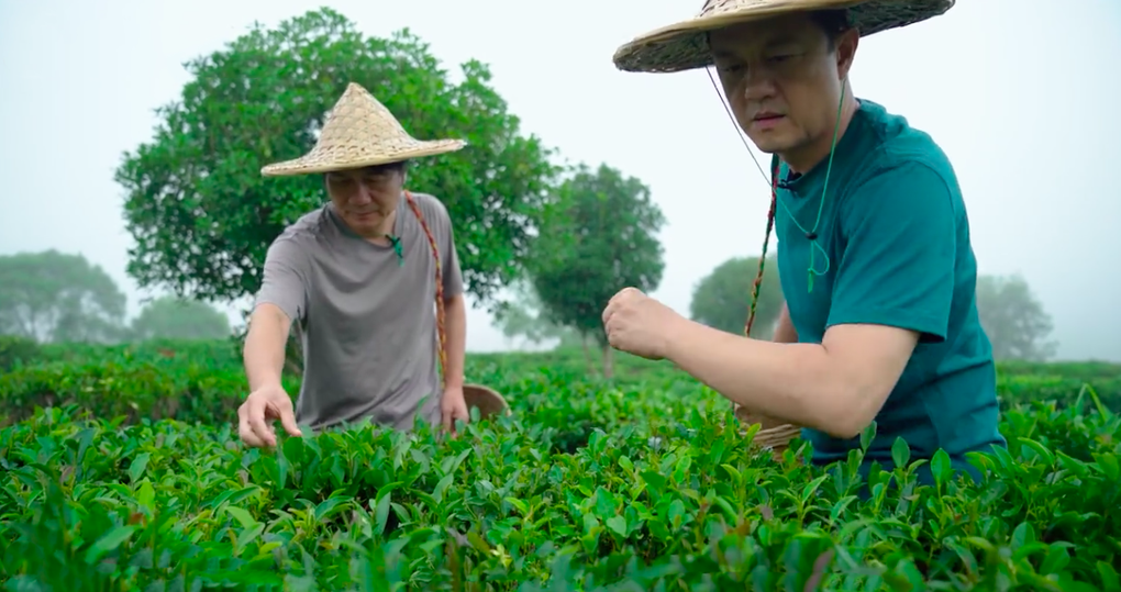 Lý Á Bằng lao đao vì nợ nần, thừa nhận giai đoạn đen tối trong cuộc đời - 2 Lý Á Bằng lao đao vì nợ nần, thừa nhận giai đoạn đen tối trong cuộc đời - 2