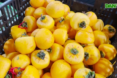 Người đàn ông chi 200 triệu đồng qua Nhật học nghề