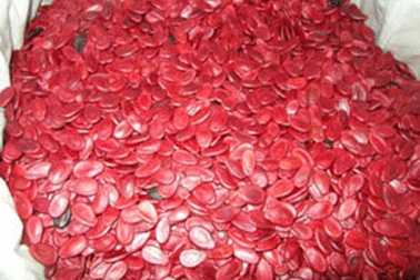 Lựa chọn hạt dưa an toàn trong ngày Tết