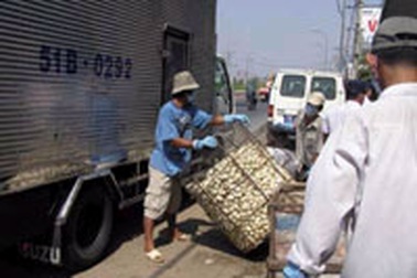 Cấm vận chuyển gia súc, gia cầm trên phương tiện công cộng