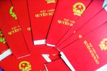 Thủ tục hợp pháp hóa số đất chưa có trong số đỏ