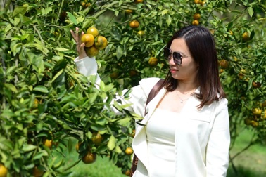 "Độc chiêu" kiếm hàng trăm triệu đồng dịp cận Tết của chủ vườn trái cây