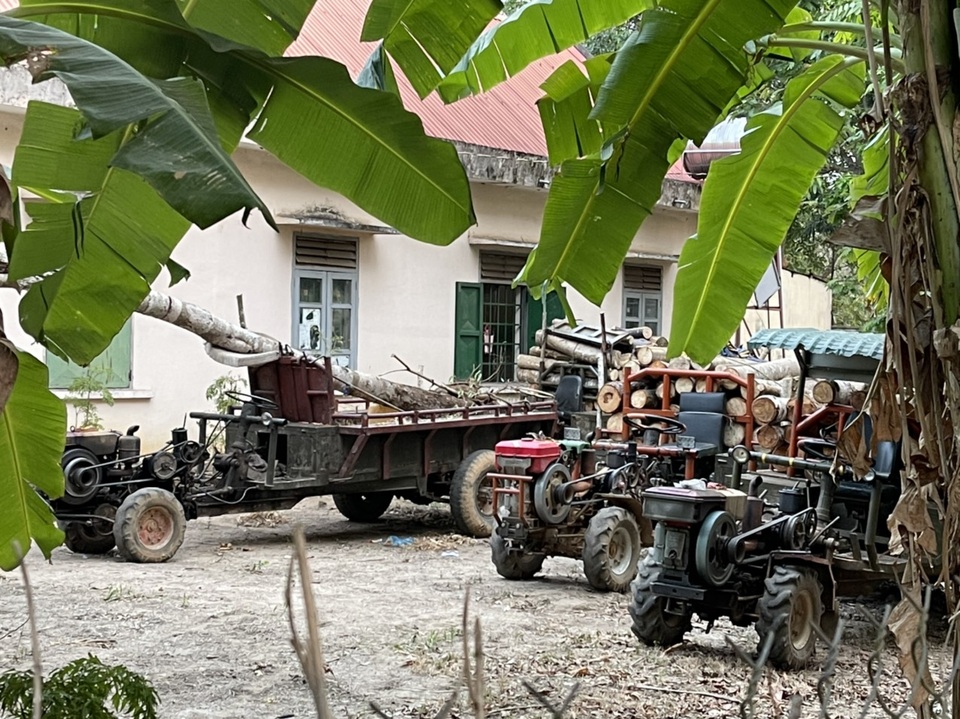 Vụ gỗ quý bị đốn la liệt, cán bộ nói chỉ 1 cây: Bắt 4 xe gỗ lậu - 2 Vụ gỗ quý bị đốn la liệt, cán bộ nói chỉ 1 cây: Bắt 4 xe gỗ lậu - 2
