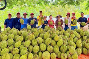 Ứng dụng mô hình Hàn Quốc "giải cứu" đất trồng sầu riêng
