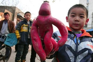 Những hình ảnh ấn tượng trong tuần