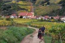 Thị trường nhà đất "đổi chiều" khi giới nhà giàu bỏ phố về quê sống