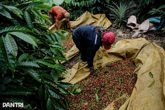 Hàng Việt Nam vào Mỹ vượt 126 tỷ USD, cao nhất lịch sử