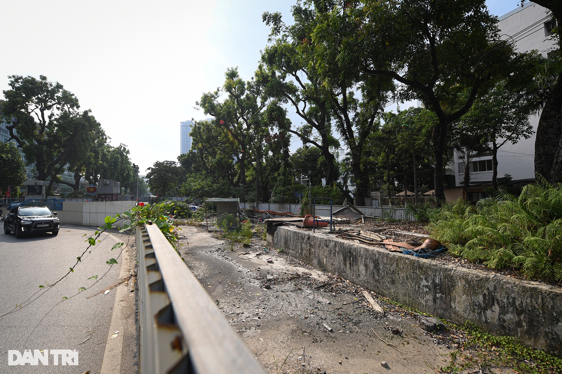 Cỏ cây mọc um tùm trên đại công trường dự án metro Nhổn - ga Hà Nội - 6 Cỏ cây mọc um tùm trên đại công trường dự án metro Nhổn - ga Hà Nội - 6