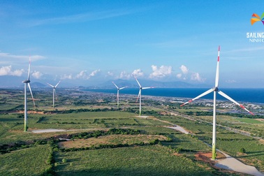 Biển Ninh Chữ chinh phục du khách mê trải nghiệm