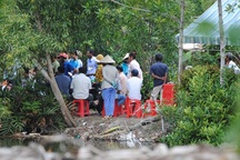 Bé gái 13 tuổi tự vẫn sau khi tố bị xâm hại tình dục từng khai gì với công an?