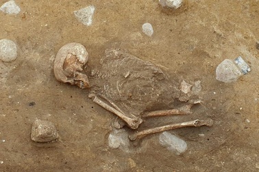 Bộ xương “ngồi xổm” bí ẩn 4.000 năm tuổi ở Đức