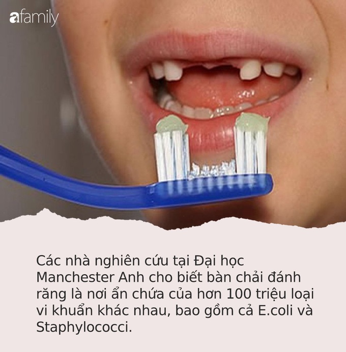 Danh sách 9 thứ bẩn nhất trong cuộc đời con người, ngày nào bạn cũng chạm tay mà không biết - Ảnh 9.