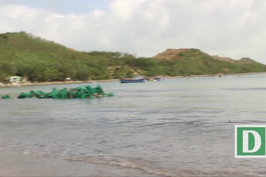 Làm rõ nghi vấn khai khống thiệt hại sau bão để nhận tiền hỗ trợ