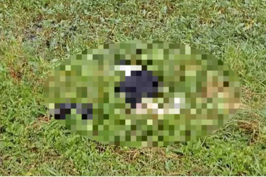 Xác minh vụ xe máy tông nam công nhân tử vong rồi bỏ chạy