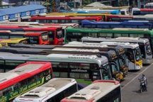 Ngoài Thành Bưởi, 21 nhà xe khác tại TPHCM phải nộp lại giấy phép