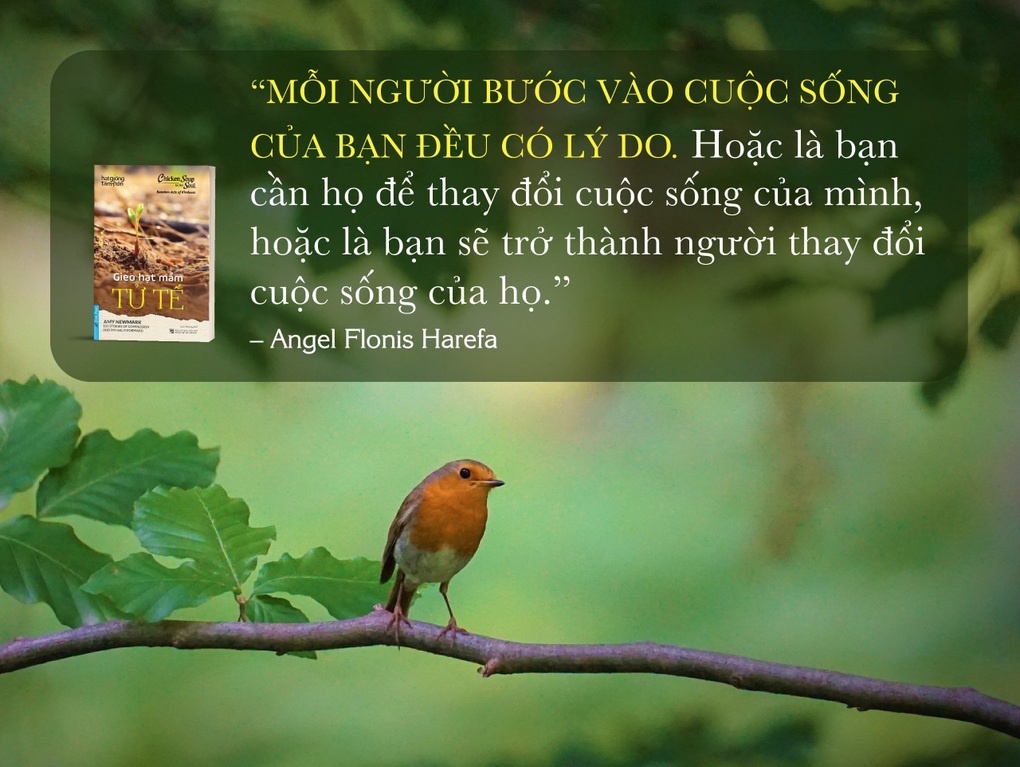 Hãy Gieo hạt mầm tử tế và nuôi dưỡng Những chồi non hi vọng - 2 Hãy Gieo hạt mầm tử tế và nuôi dưỡng Những chồi non hi vọng - 2