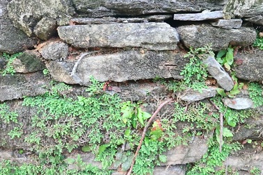 Khám phá làng cổ Lộc Yên