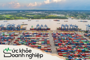 Công ty có giá cổ phiếu như tàu lượn, giảm ngay 400.000 đồng trong chớp mắt