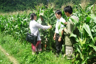 Quảng Bình: Hàng chục cán bộ tri thức trẻ… bơ vơ khi kết thúc dự án