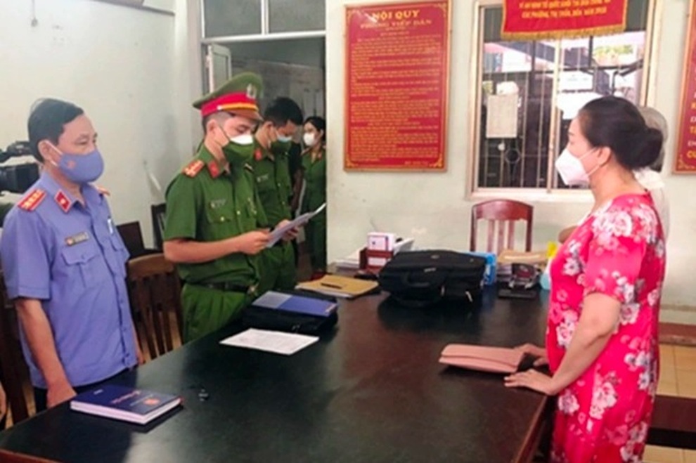 Nữ đại gia trúng đấu giá 262 lô đất bị khởi tố tội trốn thuế - 1