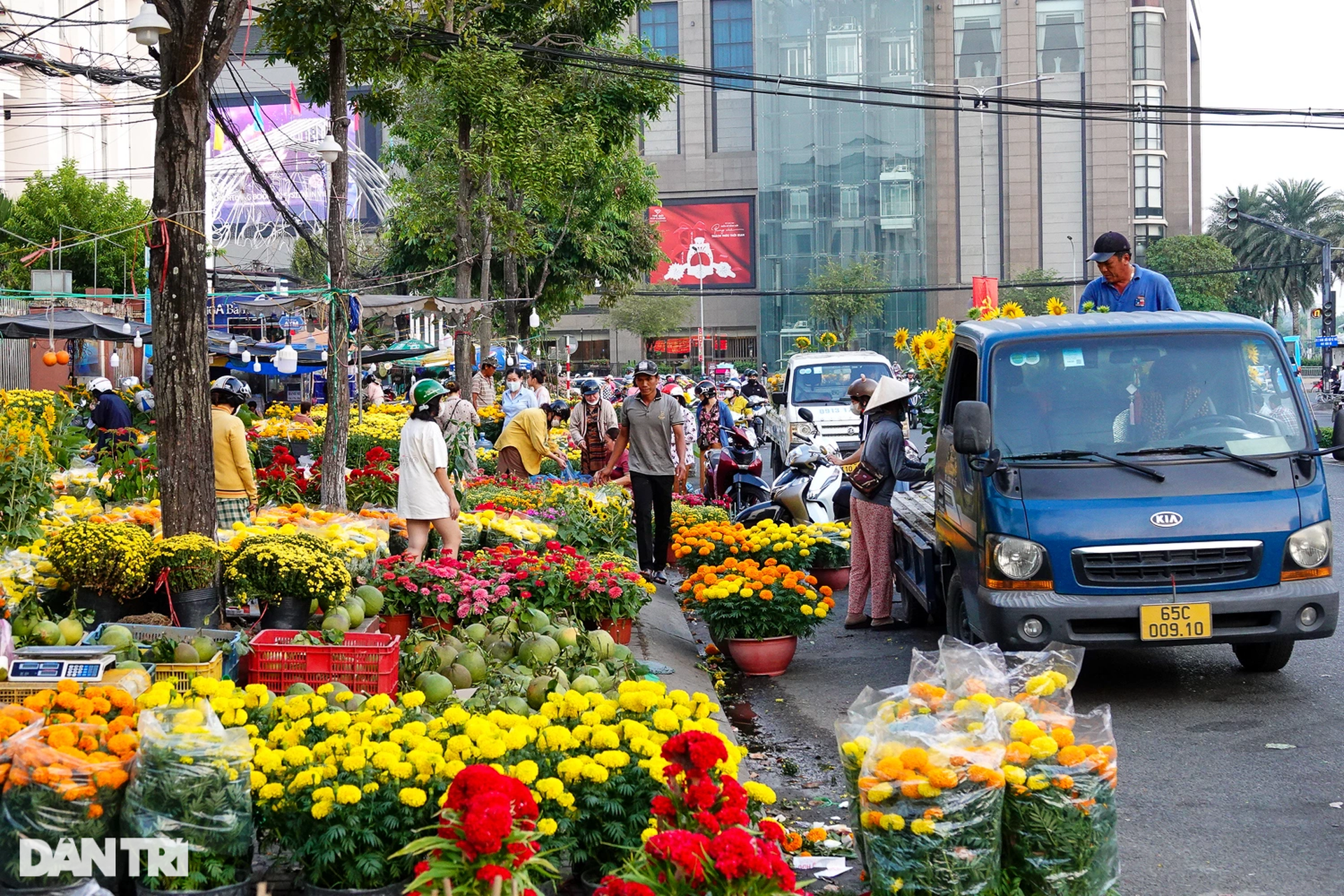 Chợ hoa Tết ở Cần Thơ: Giá niêm yết, giảm sâu vẫn bị khách ngó lơ - 2