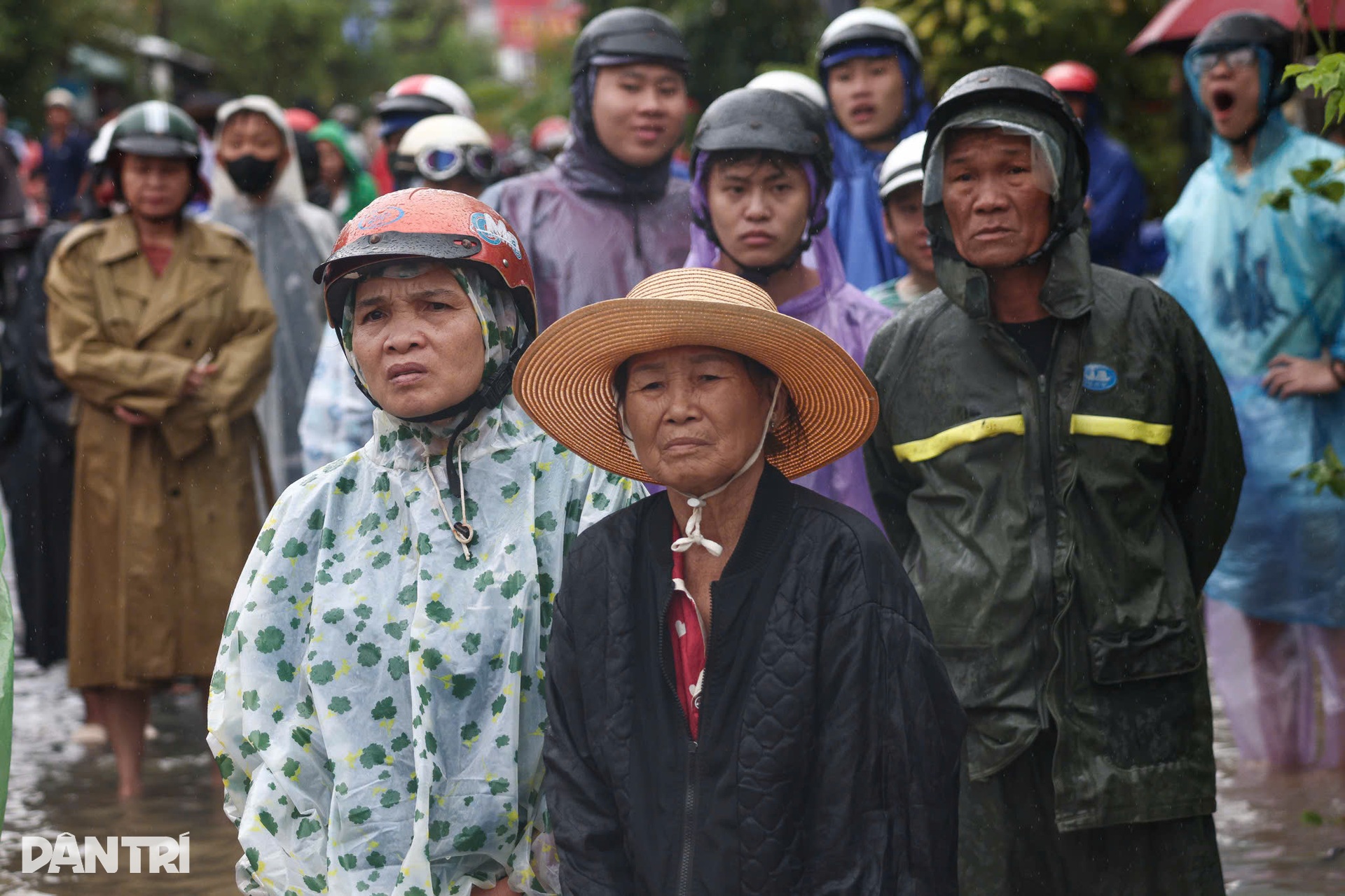Những ánh mắt hoảng loạn trong dòng lũ vây vùng Phú Yên - 13