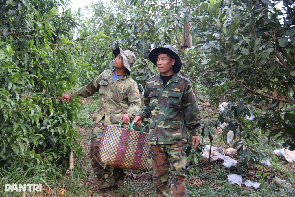 Vỗ vú sữa bằng tỏi ngâm rượu, nông dân trẻ thu trăm triệu mỗi năm - 5 Vỗ vú sữa bằng tỏi ngâm rượu, nông dân trẻ thu trăm triệu mỗi năm - 5