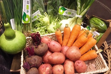 Hàng hóa Việt vào châu Âu: Cơ hội “vàng” nhưng đầy rẫy thách thức