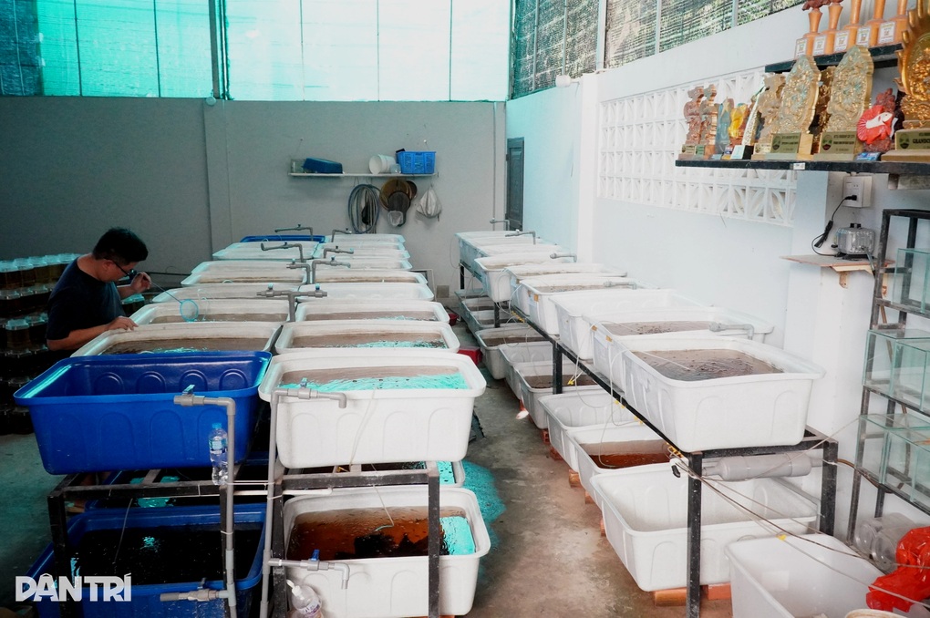 Chàng trai được nhà vợ dạy nghề, từ thất nghiệp thành ông chủ - 2 Chàng trai được nhà vợ dạy nghề, từ thất nghiệp thành ông chủ - 2