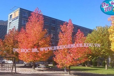 Hội thảo du học Thụy Sĩ, trường Vatel danh giá 